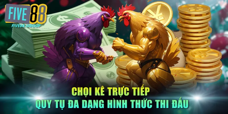 Đá Gà Trực Tiếp FIVE88 - Đại Chiến Hùng Kê Nảy Lửa Top 1 3 Chọi kê trực tiếp quy tụ đa dạng hình thức thi đấu