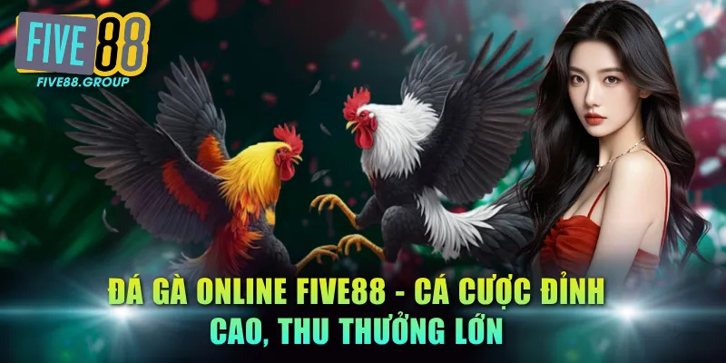 Đá Gà Online FIVE88 - Cá Cược Đỉnh Cao, Thu Thưởng Lớn 2 Đá gà online FIVE88
