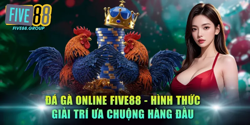 Đá Gà Online FIVE88 - Cá Cược Đỉnh Cao, Thu Thưởng Lớn 2 Đá gà online FIVE88 - Hình thức giải trí ưa chuộng hàng đầu
