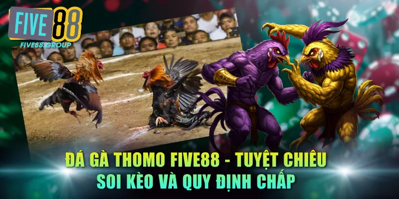 Đá Gà Thomo FIVE88 - Tuyệt Chiêu Soi Kèo Và Quy Định Chấp 3 đá gà Thomo FIVE88