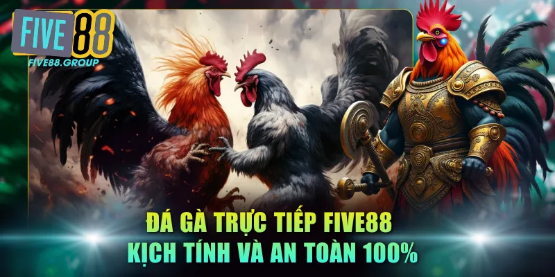 Đá Gà Trực Tiếp FIVE88 - Đại Chiến Hùng Kê Nảy Lửa Top 1 2 Đá gà trực tiếp FIVE88 kịch tính và an toàn 100%
