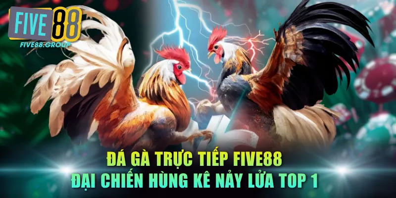 Đá Gà Trực Tiếp FIVE88 - Đại Chiến Hùng Kê Nảy Lửa Top 1 4 Đá gà trực tiếp FIVE88