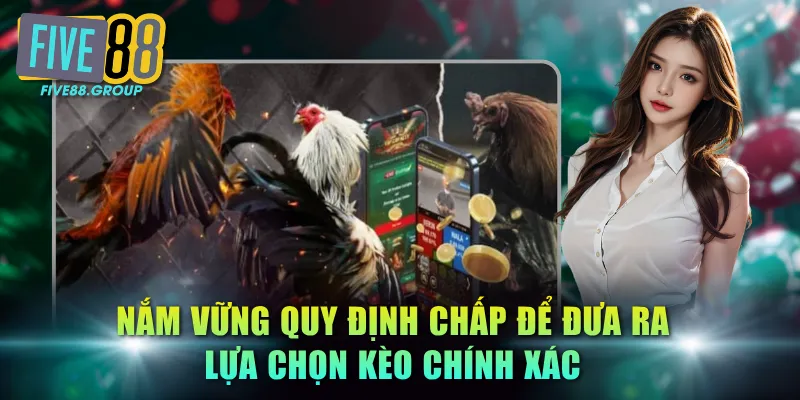 Đá Gà Thomo FIVE88 - Tuyệt Chiêu Soi Kèo Và Quy Định Chấp 3 Nắm vững quy định chấp để đưa ra lựa chọn kèo chính xác