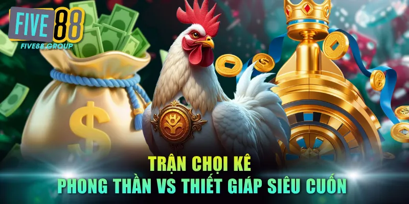 Đá Gà Trực Tiếp FIVE88 - Đại Chiến Hùng Kê Nảy Lửa Top 1 4 Trận chọi kê Phong Thần vs Thiết Giáp siêu cuốn